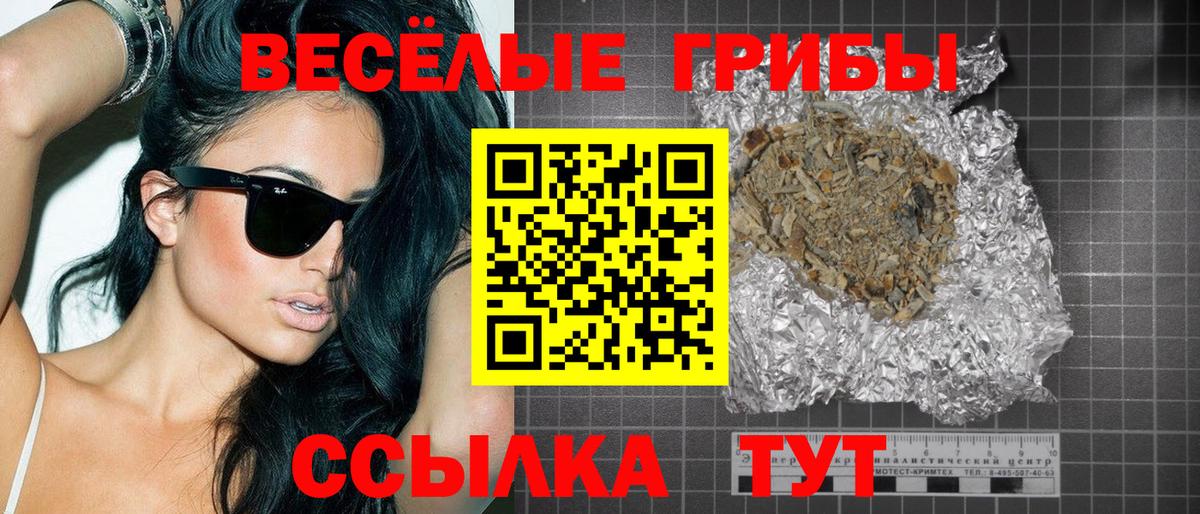 Галлюциногенные грибы Magic Shrooms  Вход с VPN  Дмитров  Галлюциногенные грибы Magic Shrooms 