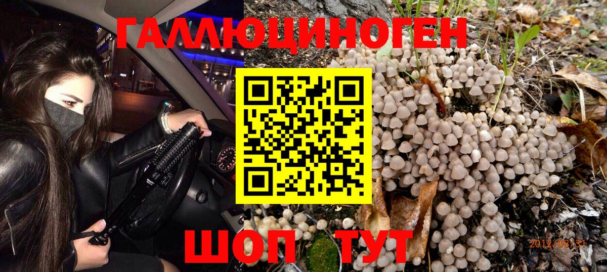 Псилоцибиновые грибы ЛСД Дмитров